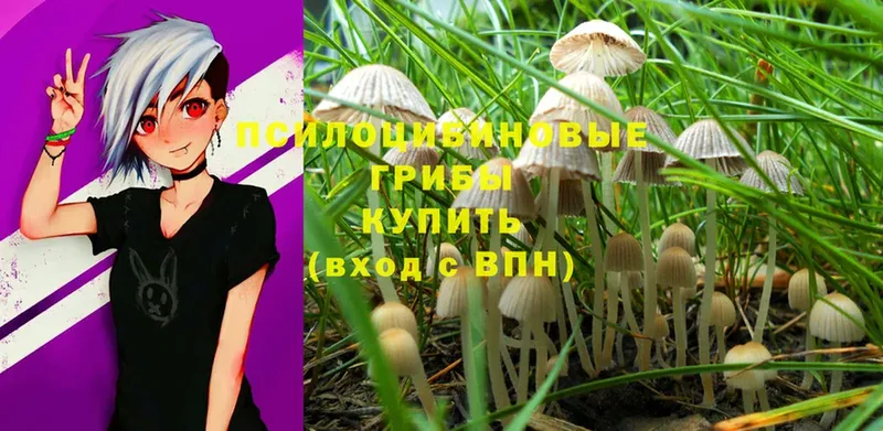 Псилоцибиновые грибы MAGIC MUSHROOMS  Болгар 